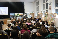 Artykuł