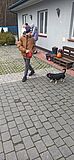Artykuł