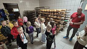 Artykuł