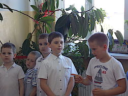 Pasowanie na czytelnika